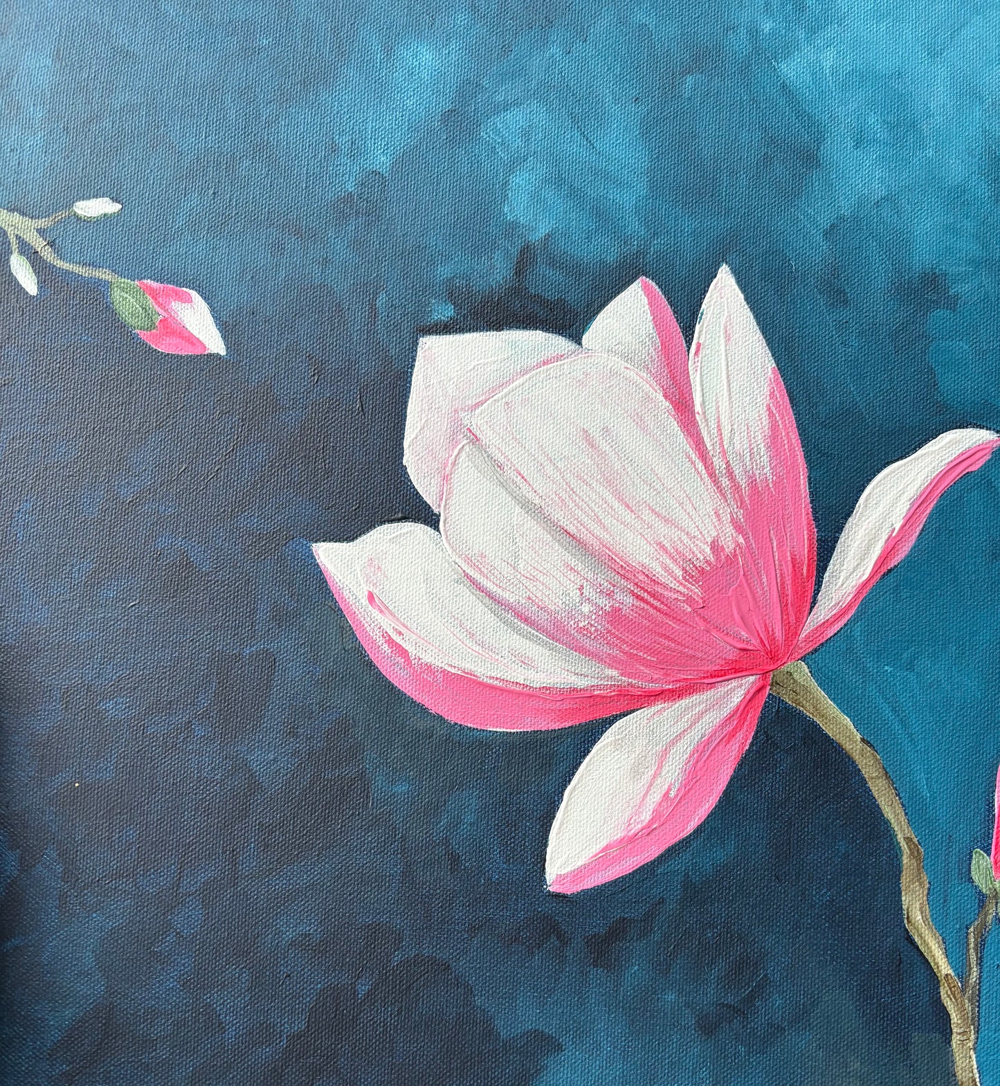 Magnolia
