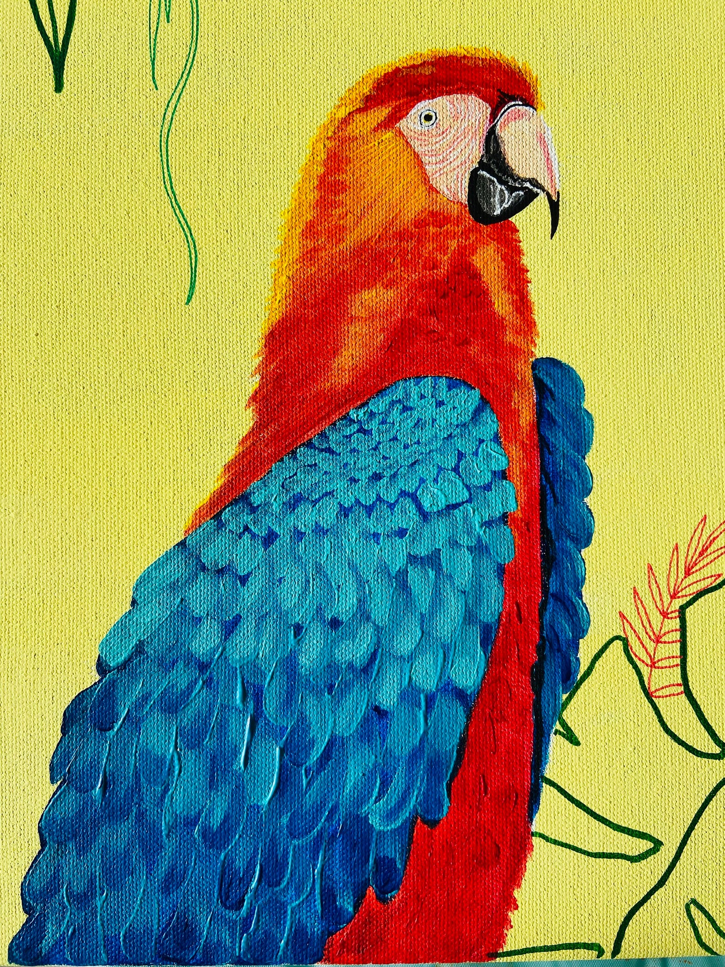 Parakeet Paradise