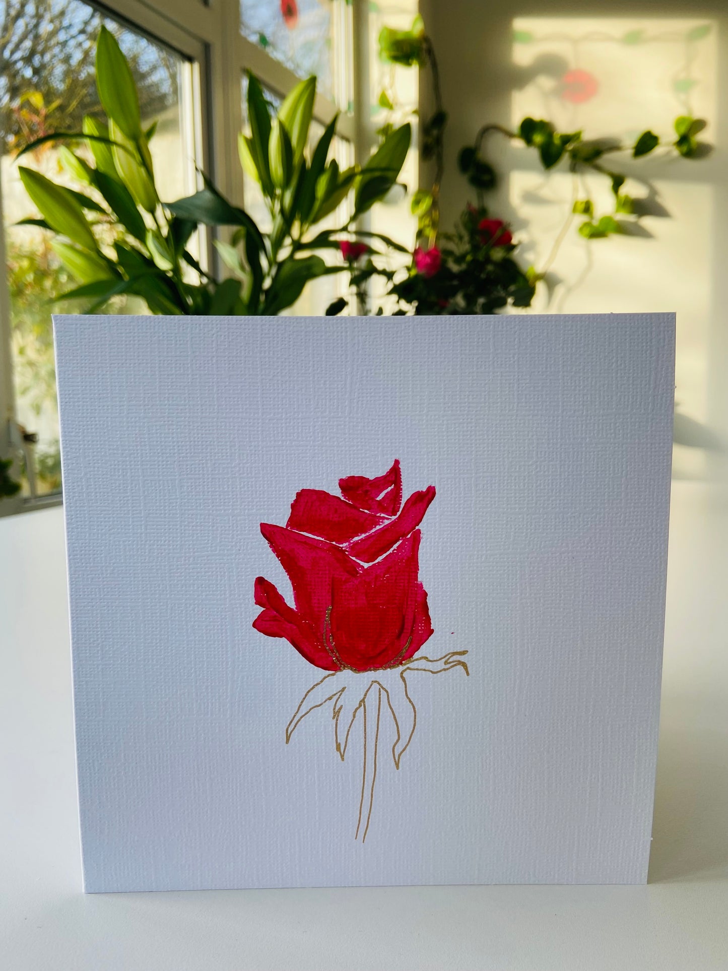 Red Rose
