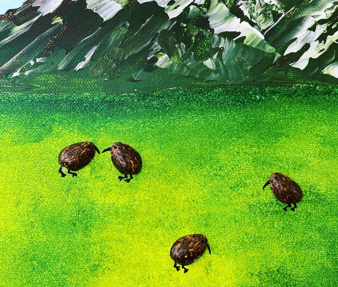 Kiwi land