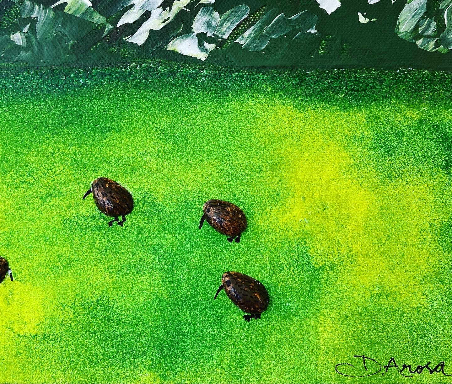 Kiwi land