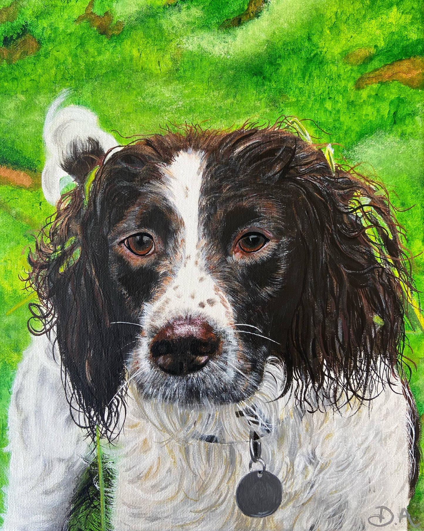 Pet portraits