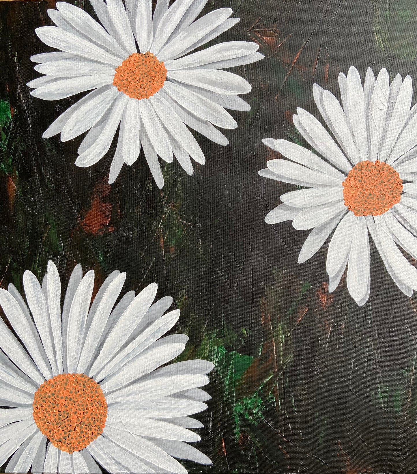 Daisies
