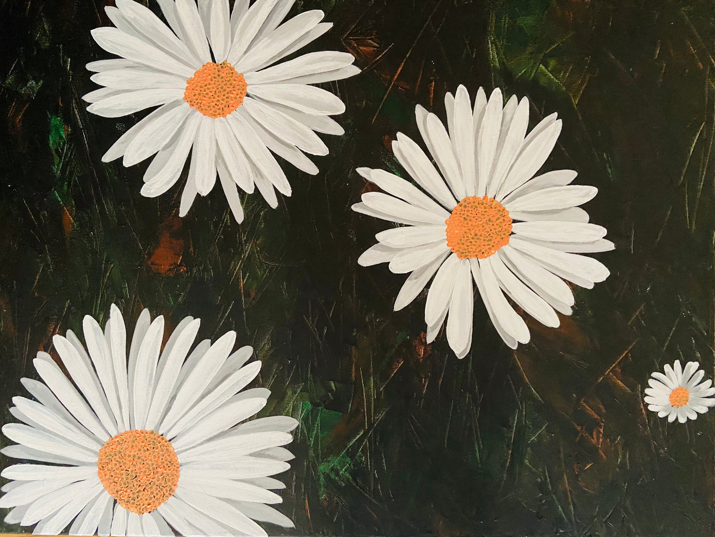 Daisies