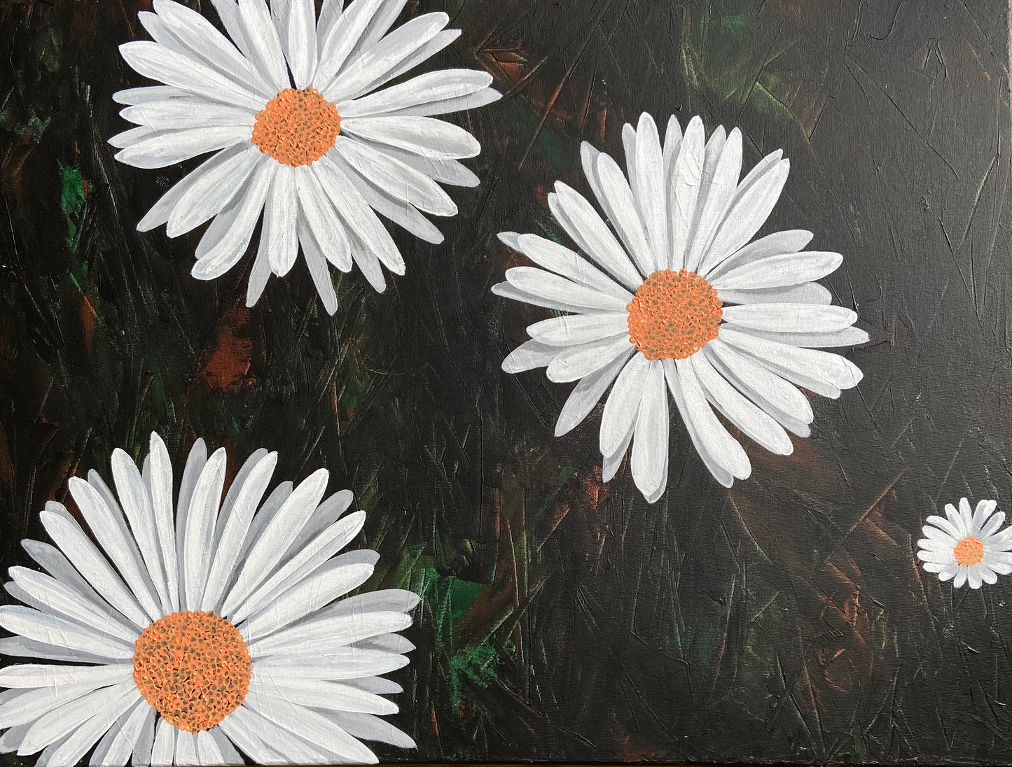 Daisies